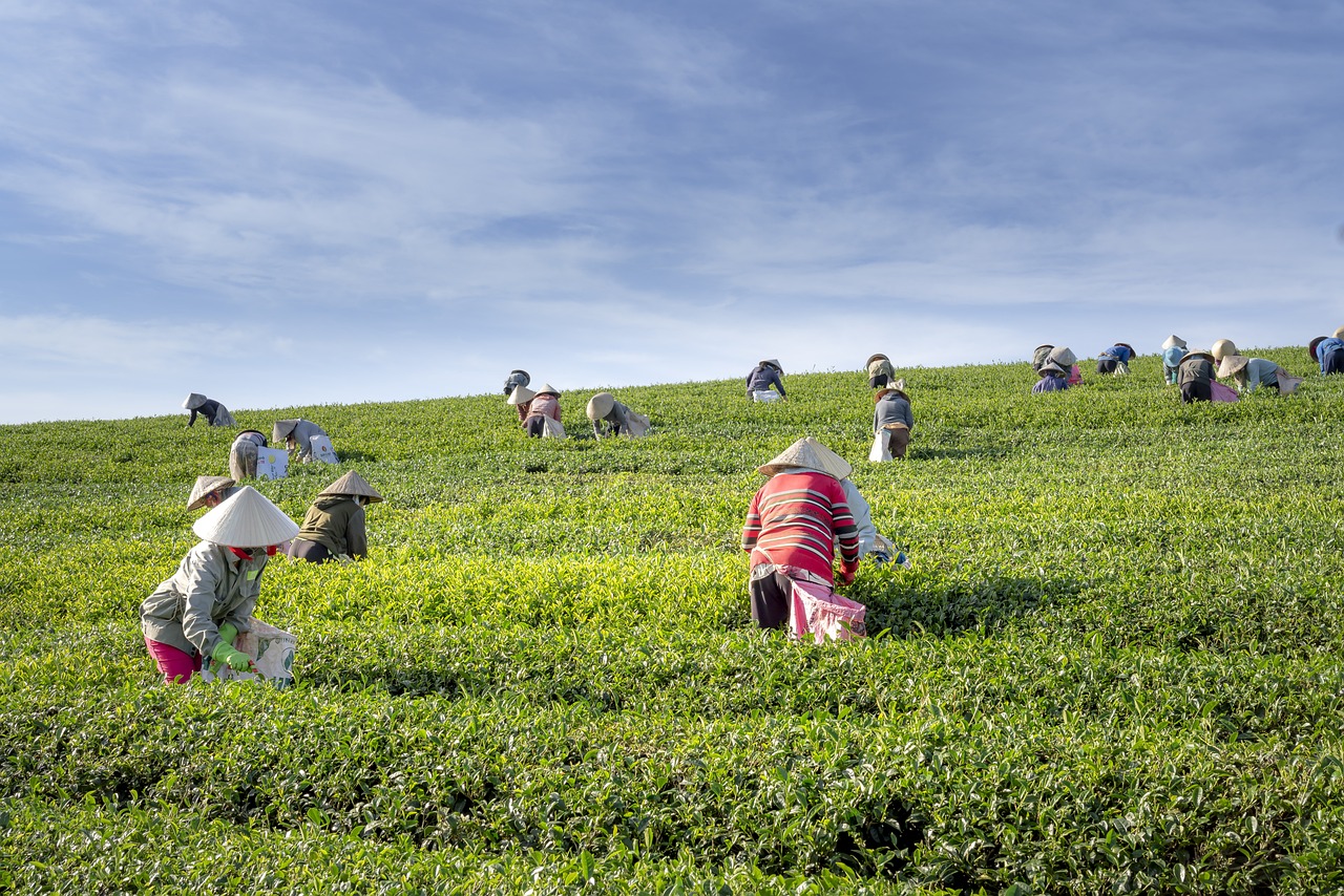 Harvest control