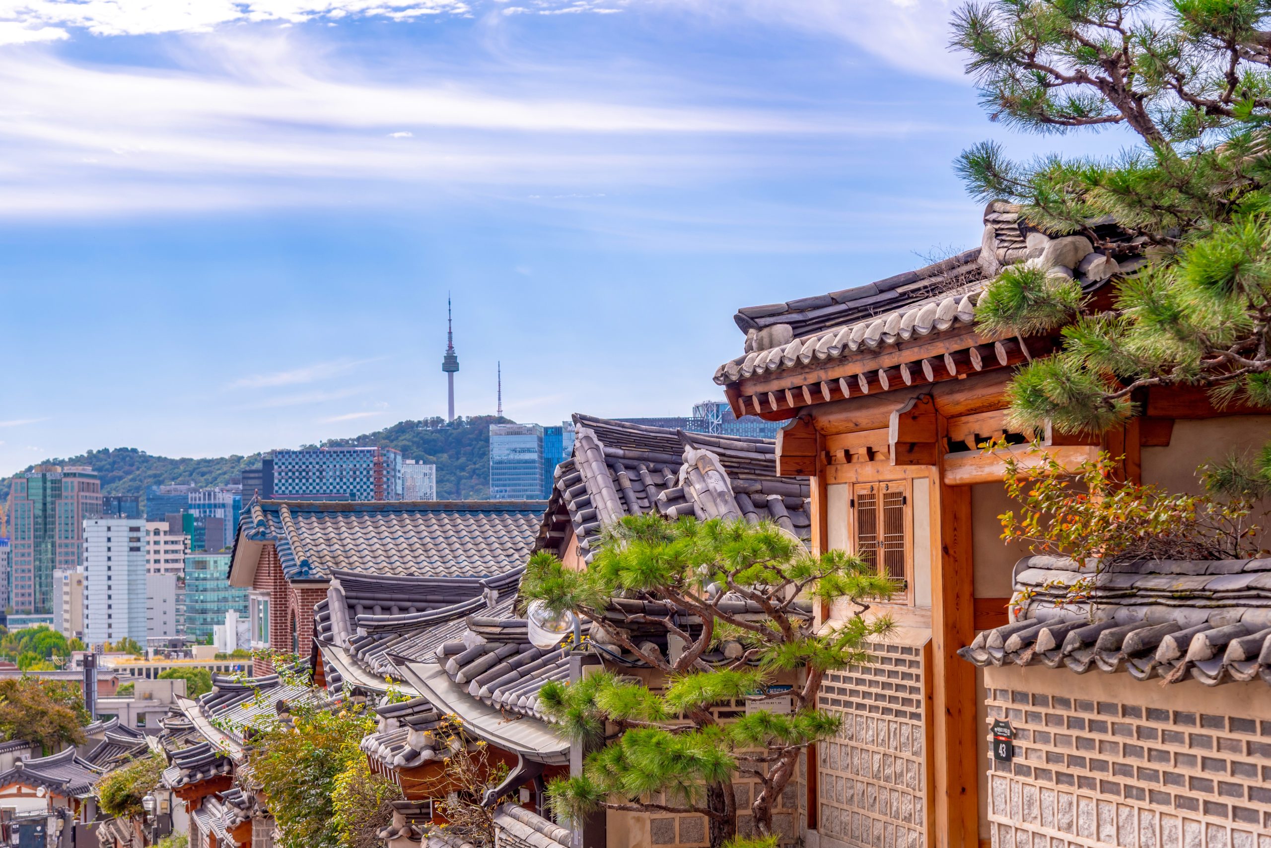 Panoramic,,Tourist,Attractions,In,The,City,Park,Of,Seoul,City,